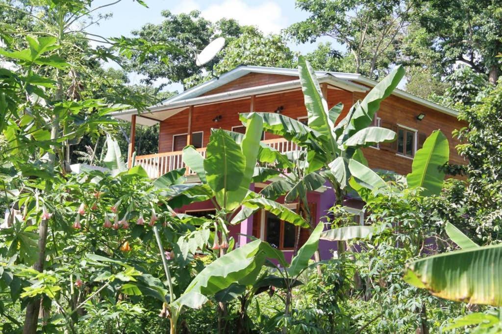 Bema Farm Villa Sao Jose Exterior photo
